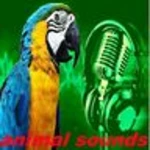 animal sounds android application logo